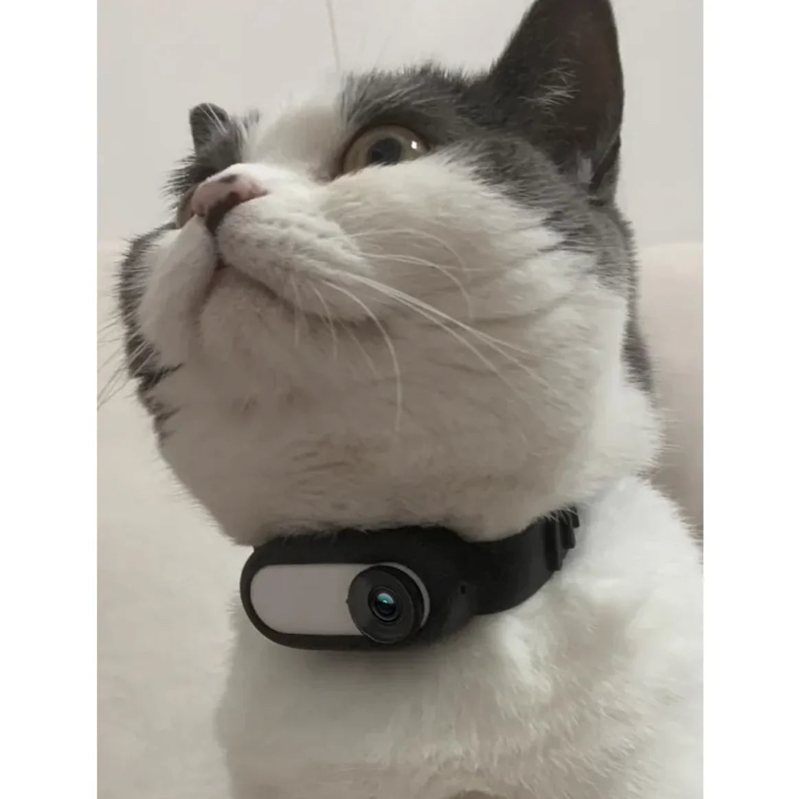 Pet Collar Camera